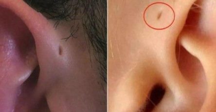 495461750 712546421438748 7453665344605107498 n