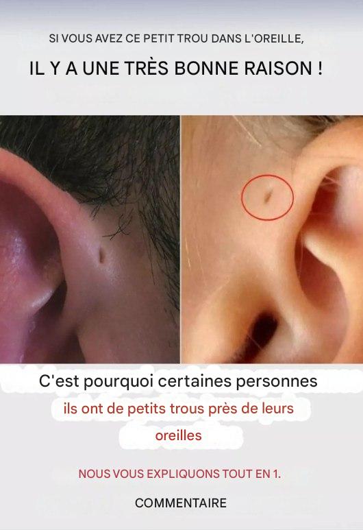 495461750 712546421438748 7453665344605107498 n