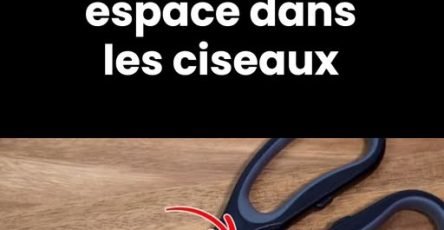 496061746 122172241130480977 8341028693019739727 n