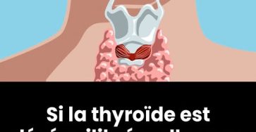 498321759 122172287120480977 1956137038629588636 n