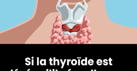 498321759 122172287120480977 1956137038629588636 n