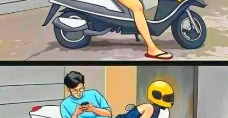 499863585 122166133478564047 1477390178057181197 n