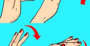 500481785 696335309653792 2455490917944279347 n