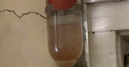 502619505 122167268582564047 2285137137294858389 n