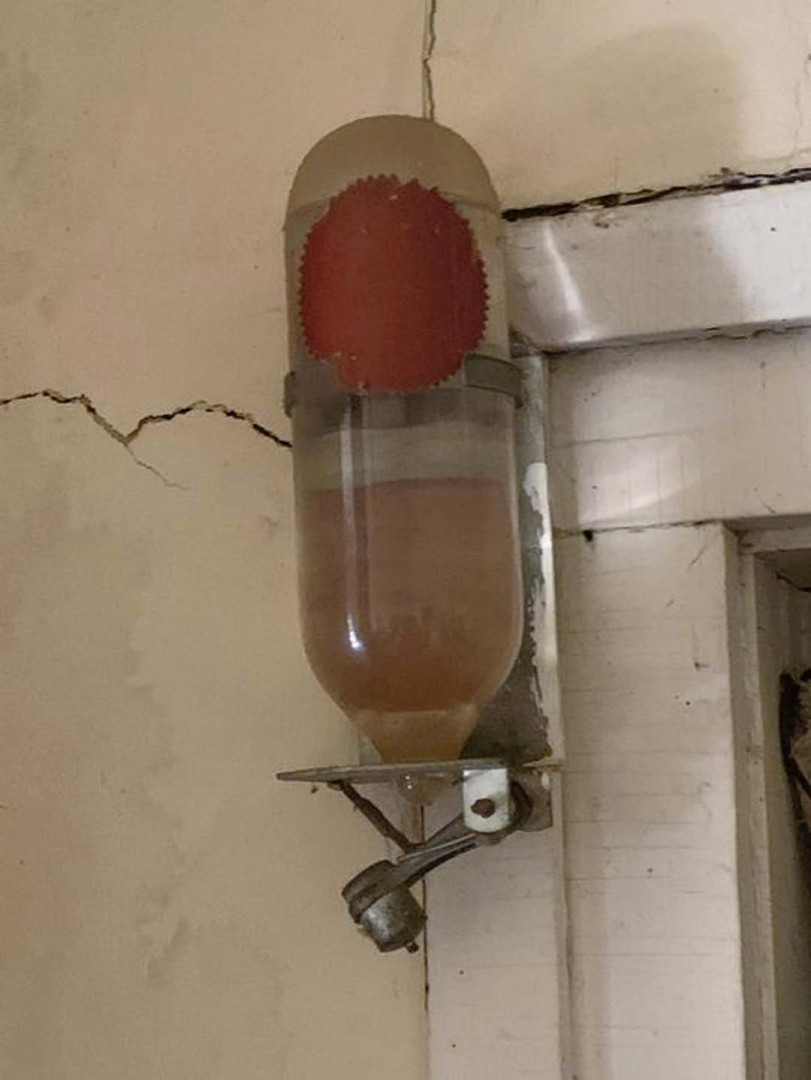 502619505 122167268582564047 2285137137294858389 n