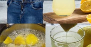 503573192 720838490532084 9701594827825507 n