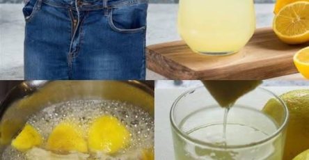 503573192 720838490532084 9701594827825507 n