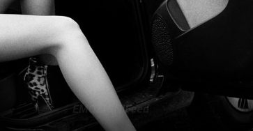 505114180 1123095823188325 6749226764889806058 n