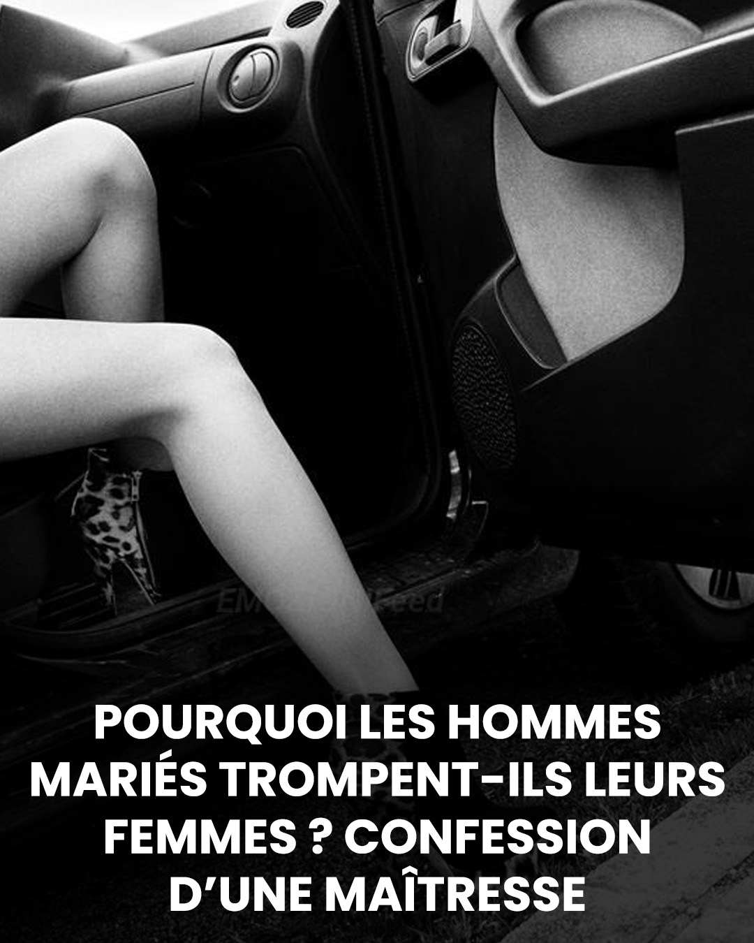 505114180 1123095823188325 6749226764889806058 n