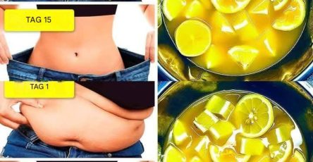 505231777 2521763624829940 1312201719796926998 n