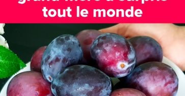 505348466 1118323476994766 7409323826408209863 n