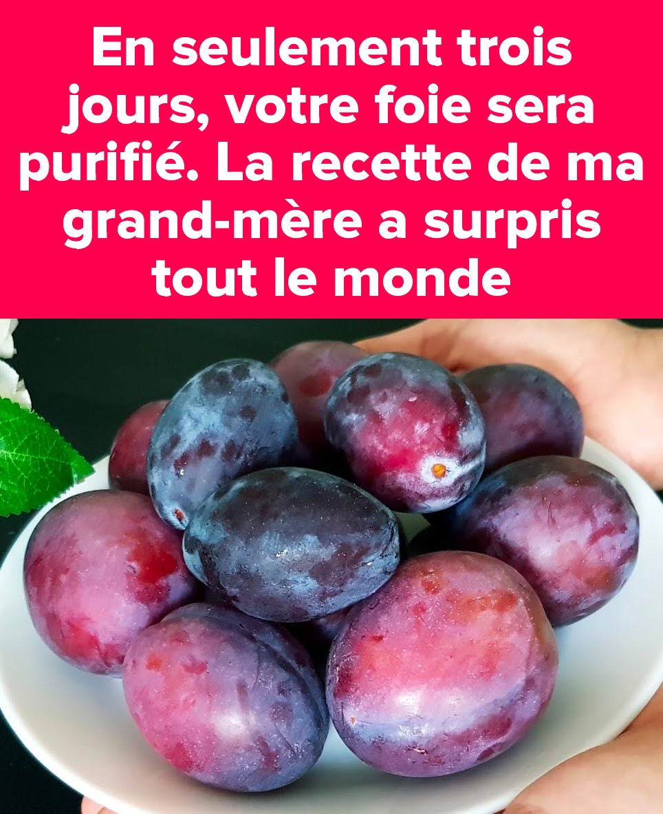 505348466 1118323476994766 7409323826408209863 n