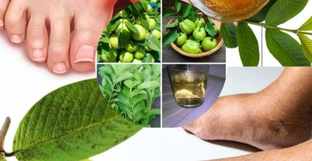 505460173 1094299026087874 5513367276634809651 n