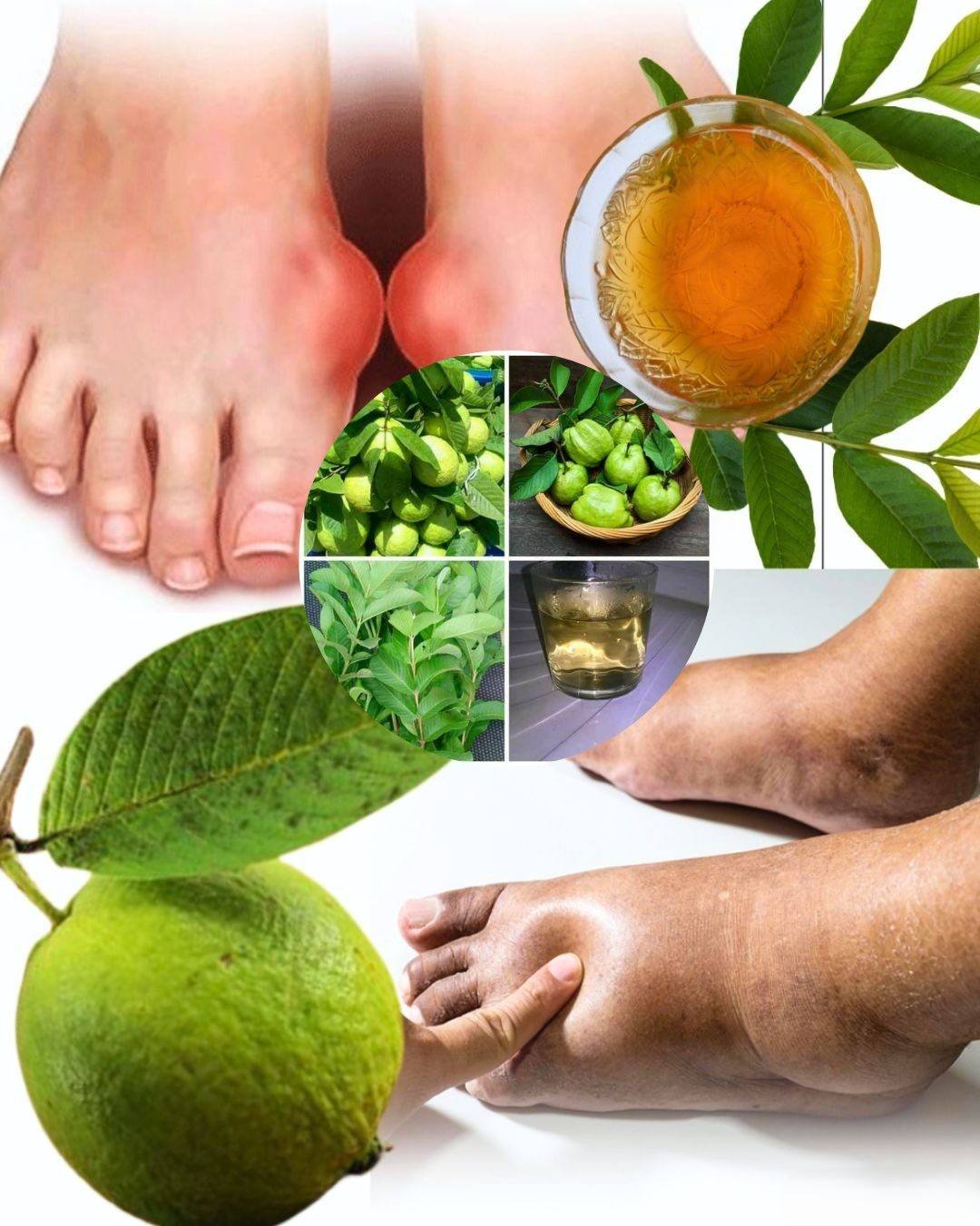 505460173 1094299026087874 5513367276634809651 n