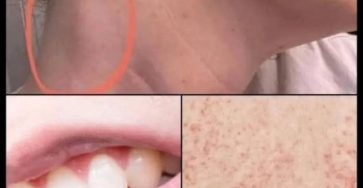 505842053 1272269520958411 8811966788211236311 n