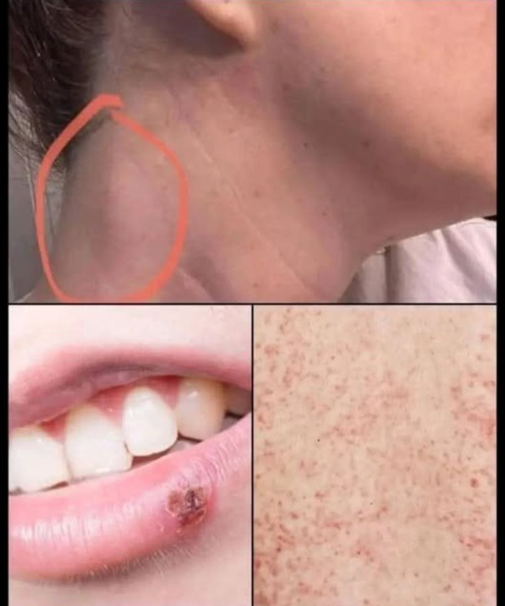 505842053 1272269520958411 8811966788211236311 n