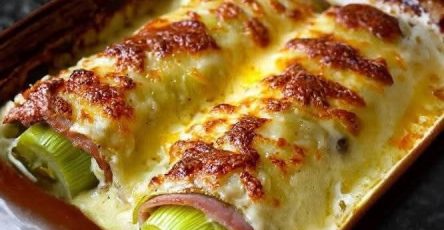 506534806 1443862369960231 4455588070224612151 n