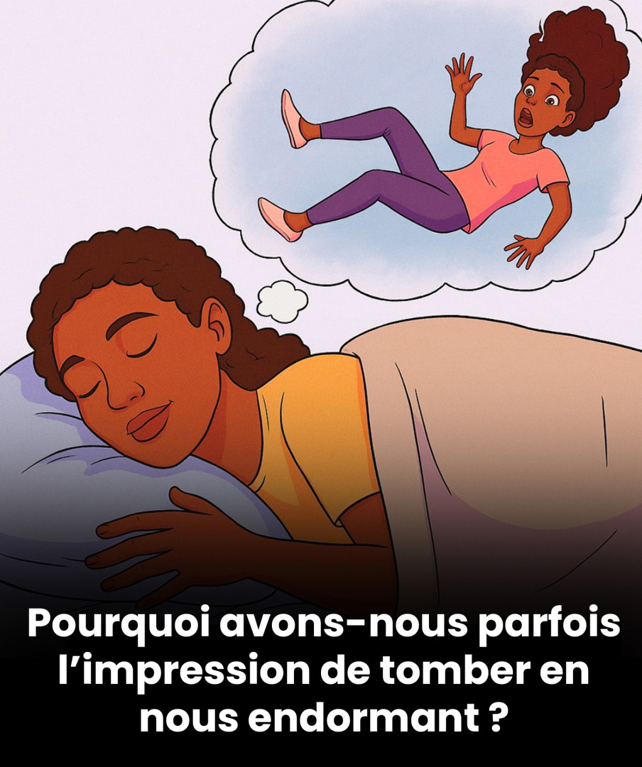 506680664 122248852412220557 372493433176429032 n