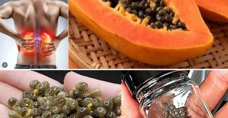 506725747 122251361924238356 3085049608896714325 n