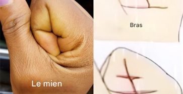 507042195 122255693612033386 6759349253436837574 n