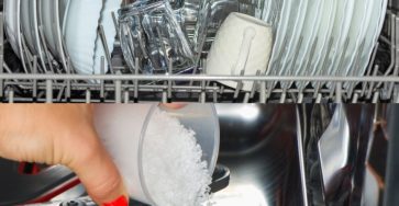 508722140 122157618800522485 5375420547303498731 n