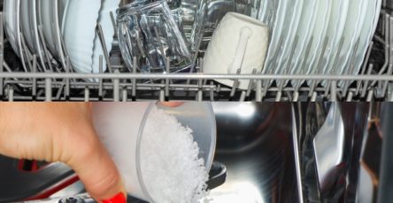 508722140 122157618800522485 5375420547303498731 n