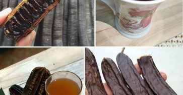 509883661 122244633872223149 6453515981588827469 n