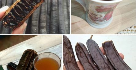 509883661 122244633872223149 6453515981588827469 n