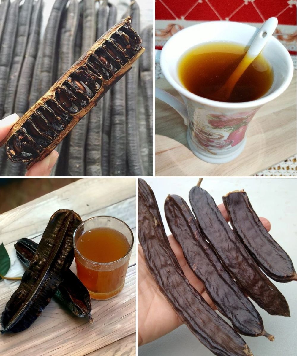 509883661 122244633872223149 6453515981588827469 n