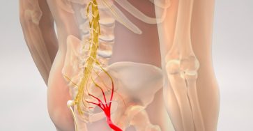 509934700 1123013733192407 7629956059202614822 n