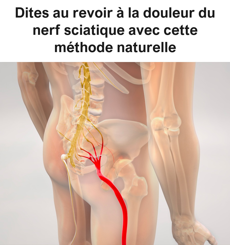 509934700 1123013733192407 7629956059202614822 n