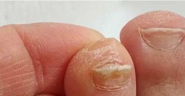 511288185 760081149781817 3245227400012049830 n