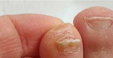 511288185 760081149781817 3245227400012049830 n