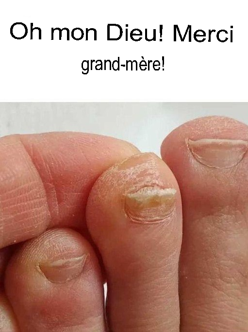 511288185 760081149781817 3245227400012049830 n