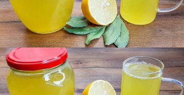 511537505 122137254362714290 7223424884612131545 n