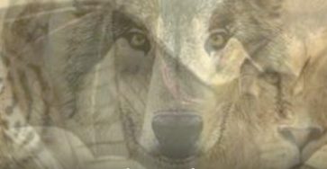 518396256 24477882245150546 8379525488975275765 n