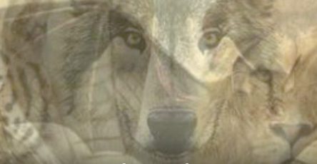 518396256 24477882245150546 8379525488975275765 n