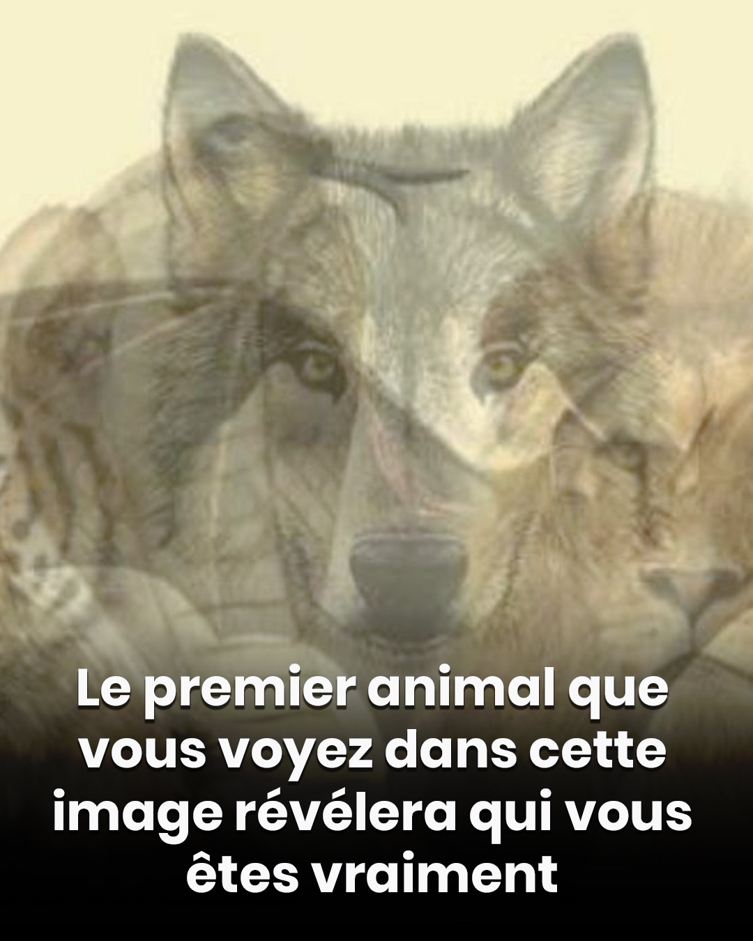 518396256 24477882245150546 8379525488975275765 n