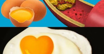 518821663 122231082512090723 1806113884111620853 n