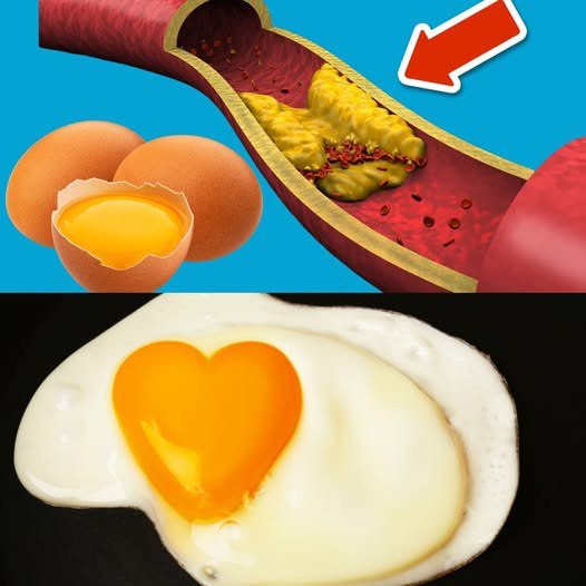 518821663 122231082512090723 1806113884111620853 n