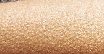 519057559 1477136343481709 1091820911552600626 n