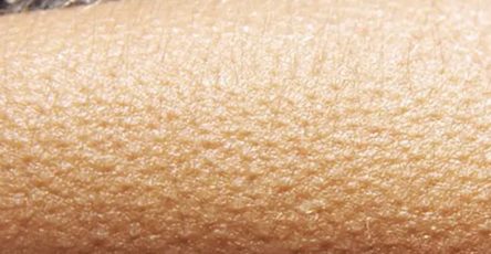 519057559 1477136343481709 1091820911552600626 n