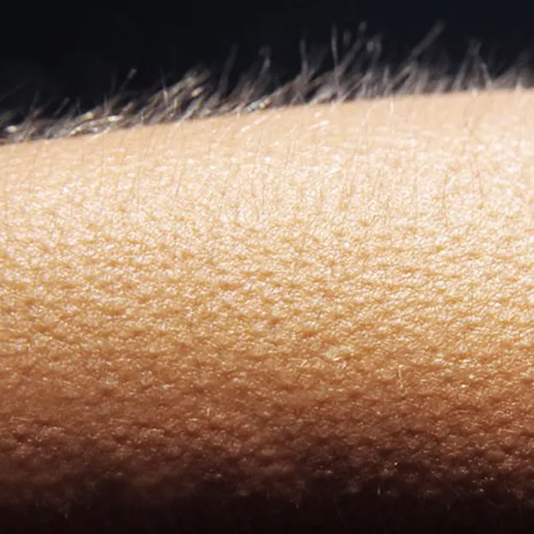 519057559 1477136343481709 1091820911552600626 n