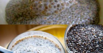 519059066 1146882740805506 1949603939071883754 n