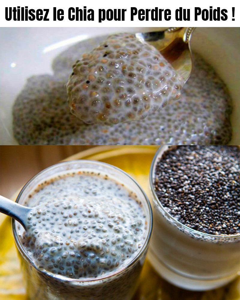 519059066 1146882740805506 1949603939071883754 n