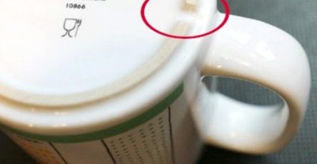 520944899 1162518725912701 592948093097577945 n