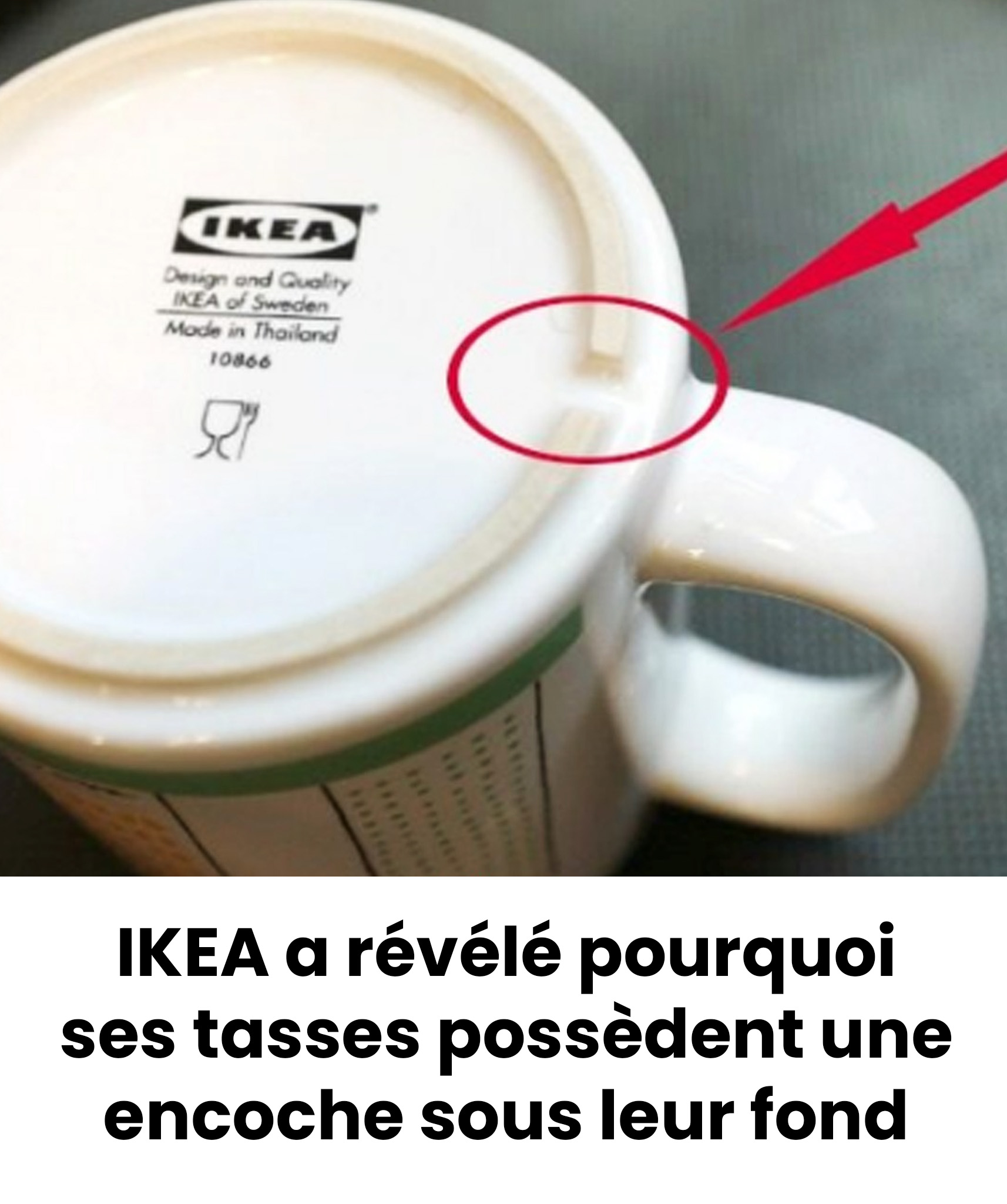 520944899 1162518725912701 592948093097577945 n