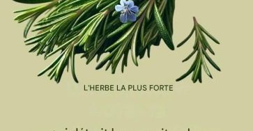 523922839 122172491156462848 2028531955297728140 n 1