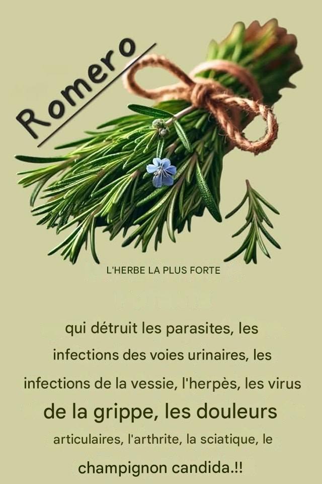 523922839 122172491156462848 2028531955297728140 n 1