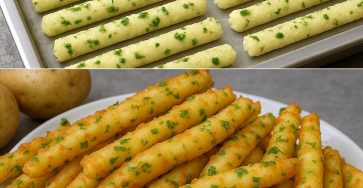 524297743 1483343592860984 3676598905893838753 n